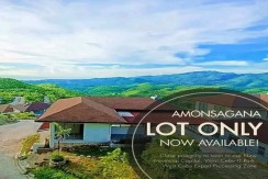 Lot for only fir sale in Amonsagana in Balamban Cebu