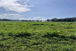 Prime Residential Lot in Manolo Fortich, Bukidnon,