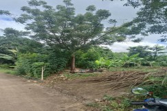 Lot For Sale( In San Remigio Medillen North Cebu)