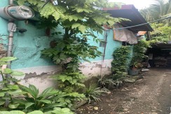 HOUSE And LOT FOR SALE! (Talisay Area)